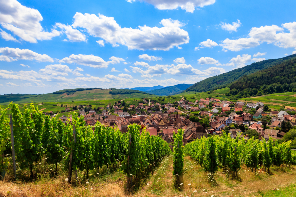 Champagne, Bordeaux & Spain: The Private Jet Wine Route
